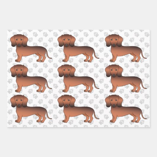 Red Sable Smooth Coat Dachshund Cute Dog Patroon Inpakpapier Vel (Voorkant)