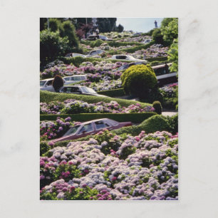 Red San Francisco, Californische bloemen Briefkaart