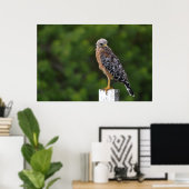 Red schuurde Hawk op Perch met groene achtergrond Poster (Thuiskantoor)