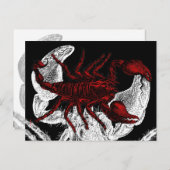 Red Scorpion - Briefkaart (Voorkant / Achterkant)