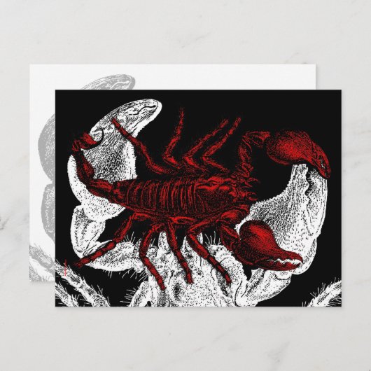 Red Scorpion - Briefkaart (Voorkant / Achterkant)