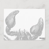 Red Scorpion - Briefkaart (Achterkant)