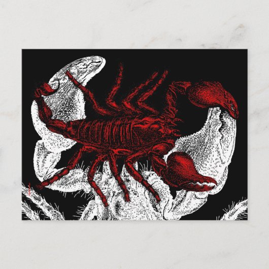 Red Scorpion - Briefkaart (Voorkant)