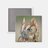 Red Screech Owl Magneet (Voorkant / Achterkant)