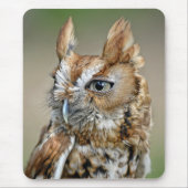 Red Screech Owl Muismat (Voorkant)