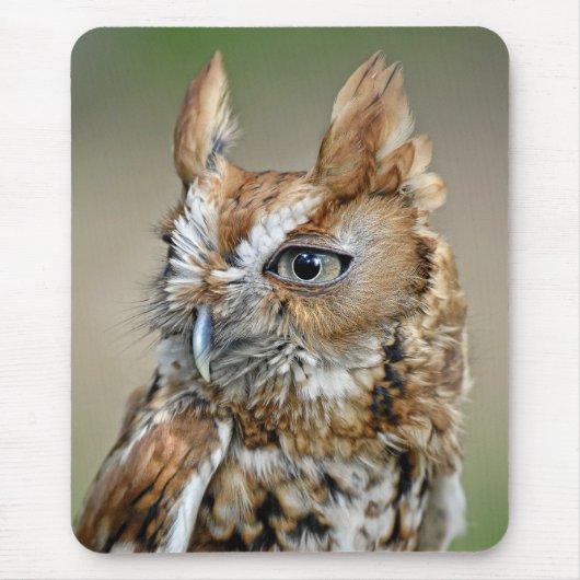 Red Screech Owl Muismat (Voorkant)