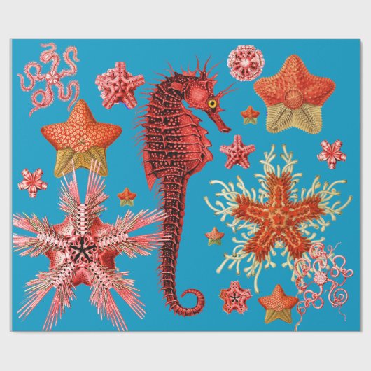 RED SEAHORSE EN SEASTART IN AQUA BLUE Zee Life Cadeaupapier (Vlak)