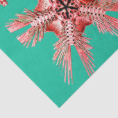 RED SEAHORSE EN SEASTART IN AQUA BLUE Zee Life Tissuepapier (Detail)