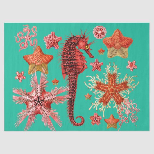 RED SEAHORSE EN SEASTART IN AQUA BLUE Zee Life Tissuepapier (Voorkant)