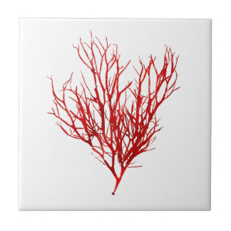 Red Seaweed Art No.10 Strand thema Decor Tegeltje