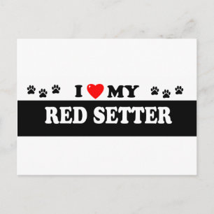 RED SETTER BRIEFKAART