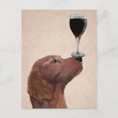 Red Setter Dog Au Vin 2 Briefkaart (Voorkant)