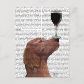 Red Setter Dog Au Vin Briefkaart (Voorkant)
