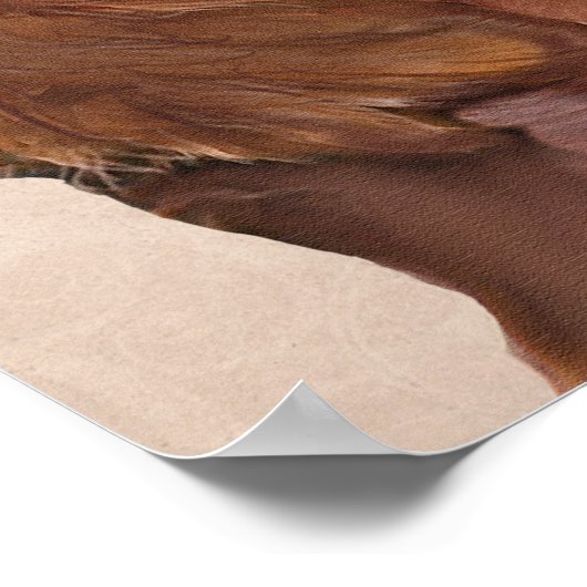 Red Setter Dog Au Vin Poster (Hoek)