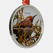 Red-Shafted Northern Flicker Woodpecker in een boo Metalen Ornament (Rechts)