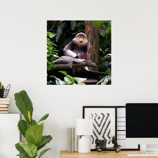 Red Shanked Douc Langur Monkey Poster (Thuiskantoor)