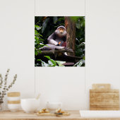 Red Shanked Douc Langur Monkey Poster (Keuken)