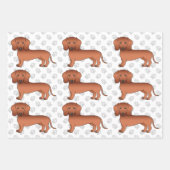 Red Short Hair Dachshund Cute Dog Pattern & Paws Inpakpapier Vel (Voorkant 2)