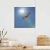 Red Shoulded Hawk Bright Sun Fotografische kunst Poster (Keuken)