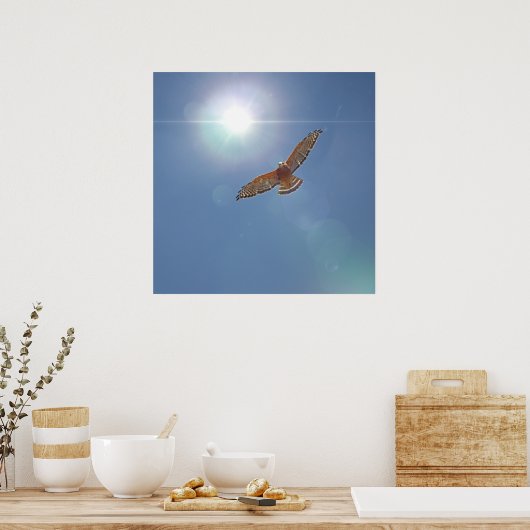 Red Shoulded Hawk Bright Sun Fotografische kunst Poster (Keuken)
