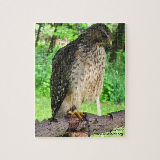 Red Shoulder Hawk puzzel (Verticaal)