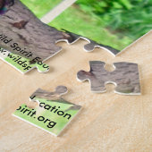 Red Shoulder Hawk puzzel Legpuzzel (Zijkant)