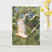 Red Shouldered Hawk in Flight Photography Design Kaart (Gele Bloem)