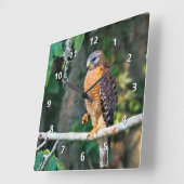 Red-Shouldered Hawk on a Limb Clock Vierkante Klok (Hoek)