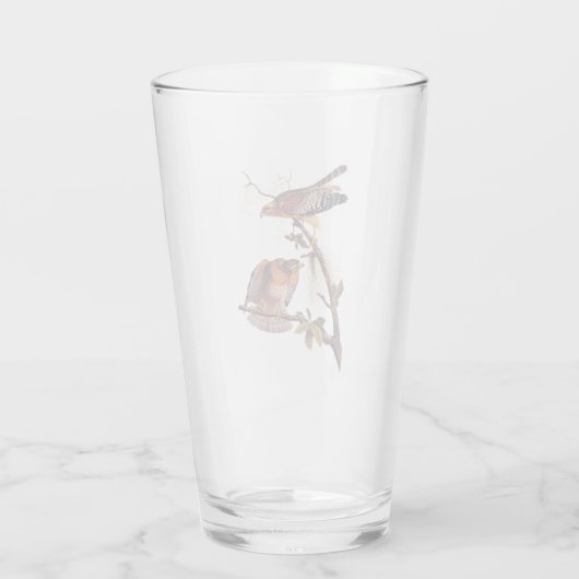 Red Shoulked Hawk Audubon Bird of Prey Glas (Achterkant)