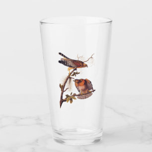 Red Shoulked Hawk Audubon Bird of Prey Glas