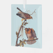 Red Shoulked Hawk Audubon Bird of Prey Glas Ornament (Voorkant links)