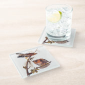 Red Shoulked Hawk Audubon Bird of Prey Glazen Onderzetter (Schuin)