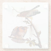 Red Shoulked Hawk Audubon Bird of Prey Glazen Onderzetter (Achterkant)