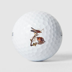 Red Shoulked Hawk Audubon Bird of Prey Golfballen