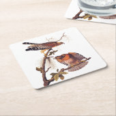 Red Shoulked Hawk Audubon Bird of Prey Kartonnen Onderzetters (Schuin)