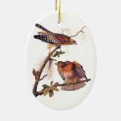 Red Shoulked Hawk Audubon Bird of Prey Keramisch Ornament (Achterkant)
