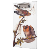 Red Shoulked Hawk Audubon Bird of Prey Klembord (Links)