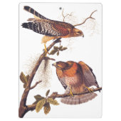 Red Shoulked Hawk Audubon Bird of Prey Klembord (Achterkant)