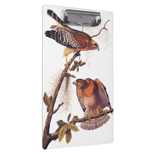 Red Shoulked Hawk Audubon Bird of Prey Klembord (Rechts)