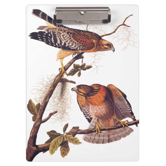 Red Shoulked Hawk Audubon Bird of Prey Klembord (Voorkant)