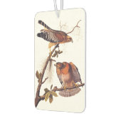 Red Shoulked Hawk Audubon Bird of Prey Luchtverfrisser (Links)