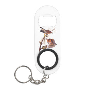 Red Shoulked Hawk Audubon Bird of Prey Mini Flessenopener