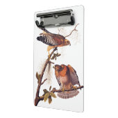Red Shoulked Hawk Audubon Bird of Prey Mini Klembord (Angled2)