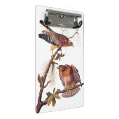 Red Shoulked Hawk Audubon Bird of Prey Mini Klembord (Schuin)