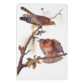 Red Shoulked Hawk Audubon Bird of Prey Mini Klembord (Achterkant)