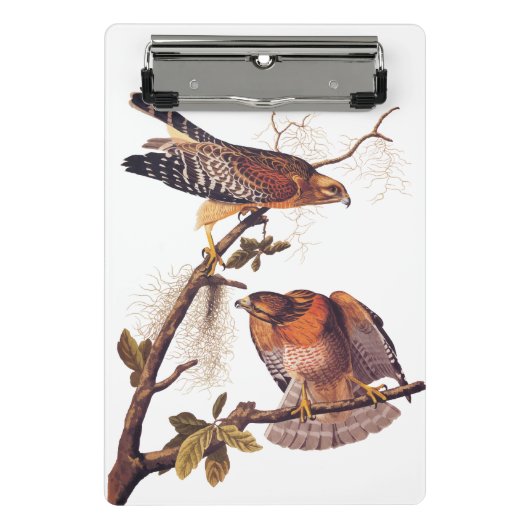 Red Shoulked Hawk Audubon Bird of Prey Mini Klembord (Voorkant)