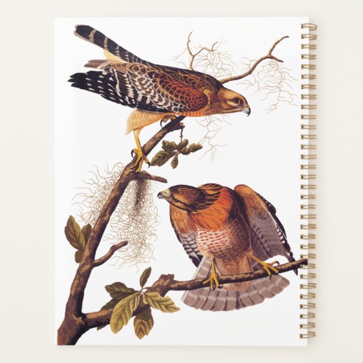 Red Shoulked Hawk Audubon Bird of Prey Planner (Achterkant)