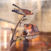 Red Shoulked Hawk Audubon Bird of Prey Raamsticker (Vel 2)