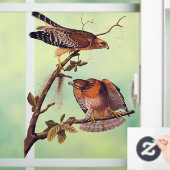 Red Shoulked Hawk Audubon Bird of Prey Raamsticker (Huis)