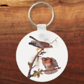 Red Shoulked Hawk Audubon Bird of Prey Sleutelhanger (Voorkant)